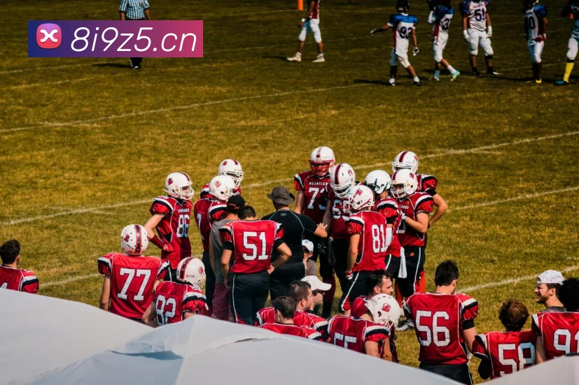 App Interface Preview